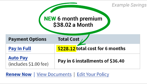New 6 month premium - $38.02 per month